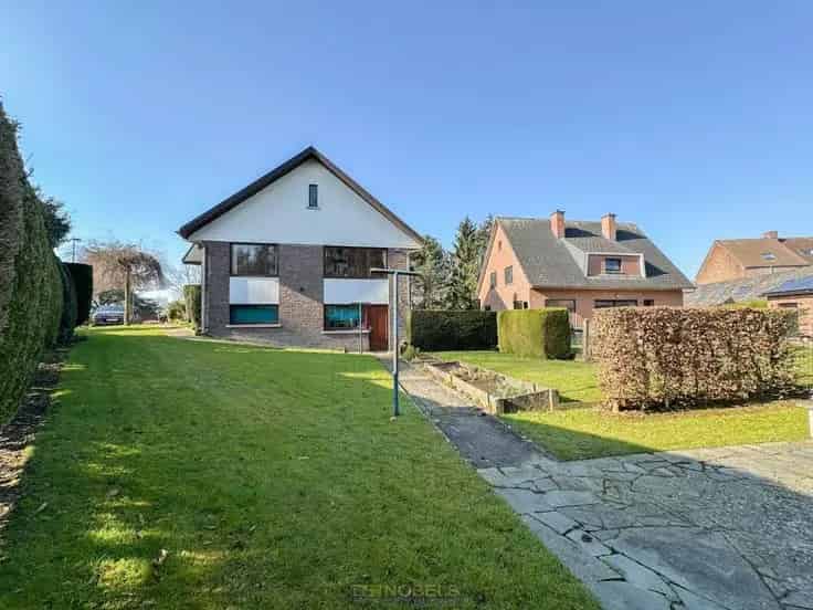 Huis Te Koop Ronse - Vintage Villa 290m² Wonen & Werken