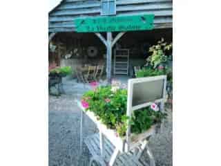 Handelspand te koop - Grand-Halleux VBC82116