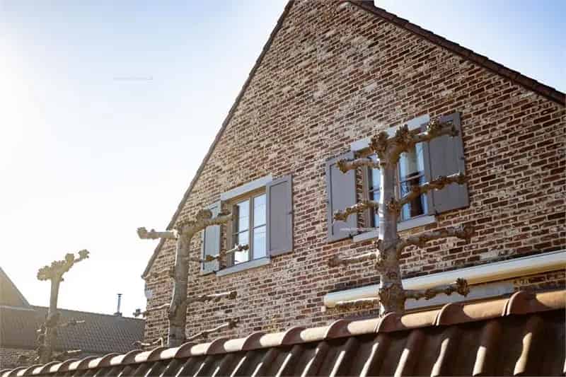 Huis te koop Galmaarden