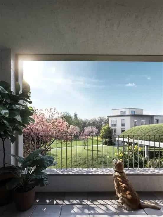 Appartement Te Koop