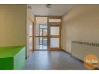 Handelspand te koop - Aalst RBT03698