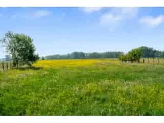 Huis te koop Zottegem 350m² EPC A