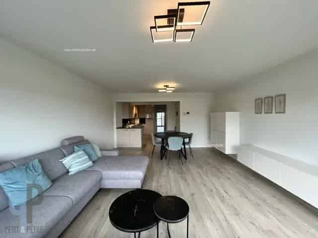 Appartement te huur Zottegem