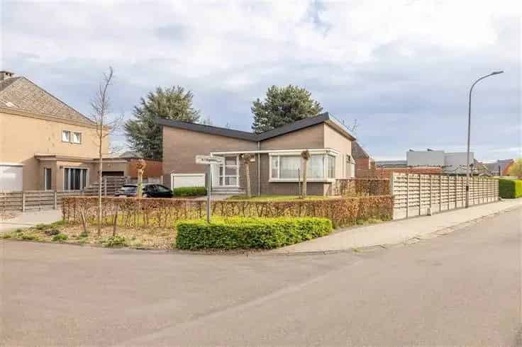 Vrijstaande Woning te Koop Geel 740m² 3 slaapkamers