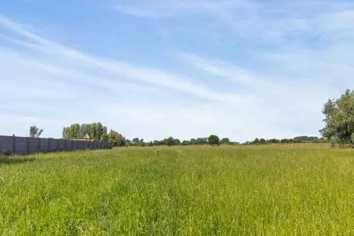 Bouwgrond te koop in Wichelen