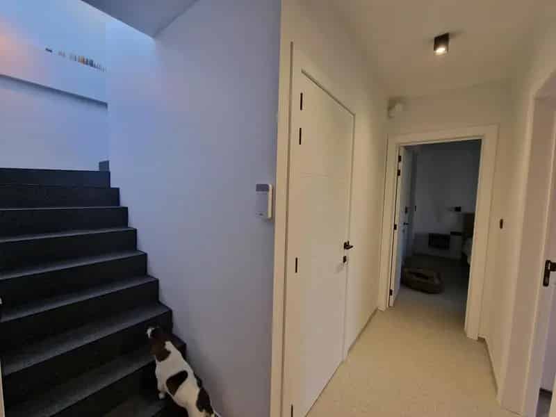Architectenwoning met studio en zwembad te Halen