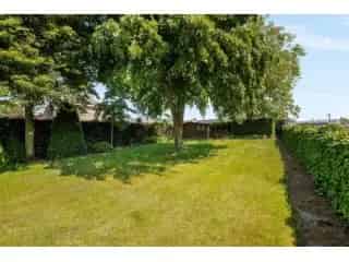 Bouwgrond te koop - Diksmuide RBT74017