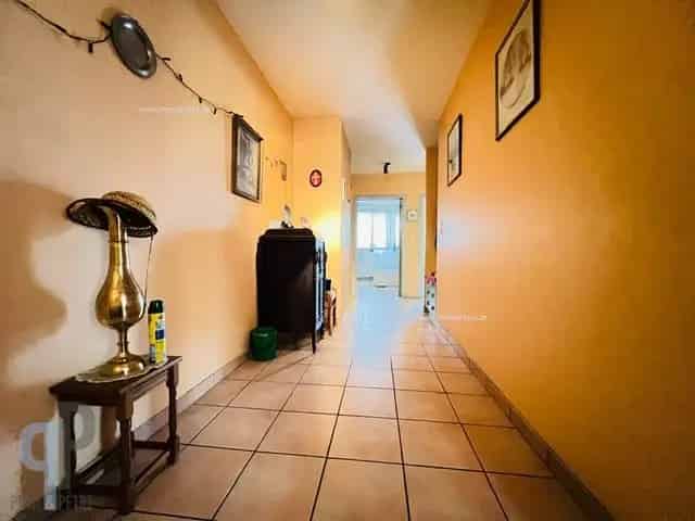Appartement te koop Zottegem