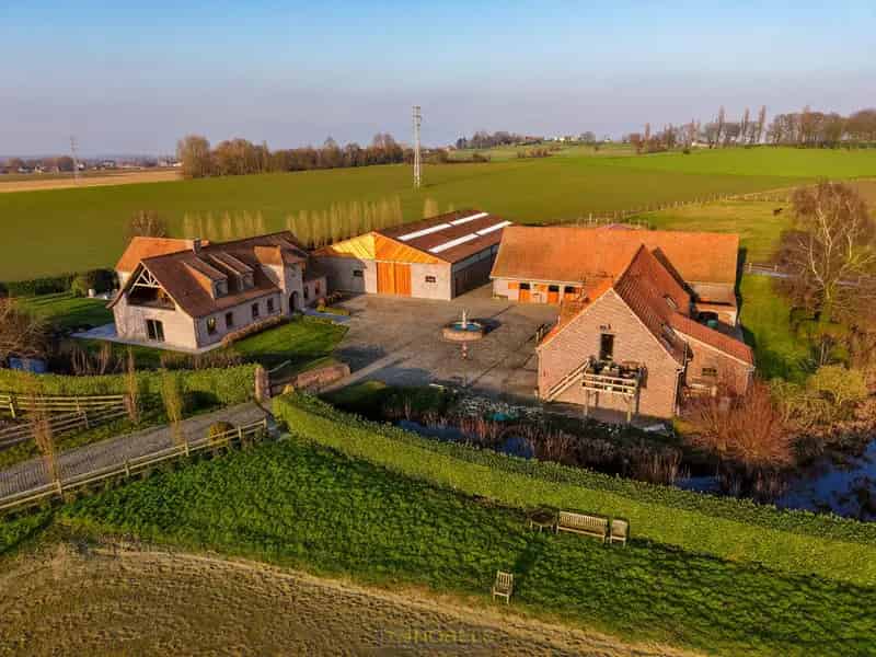 Paardenfokkerij met Landelijke Villa te Heestert