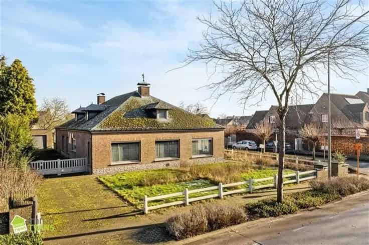 Villa te Koop Zele 3 slaapkamers Grote tuin