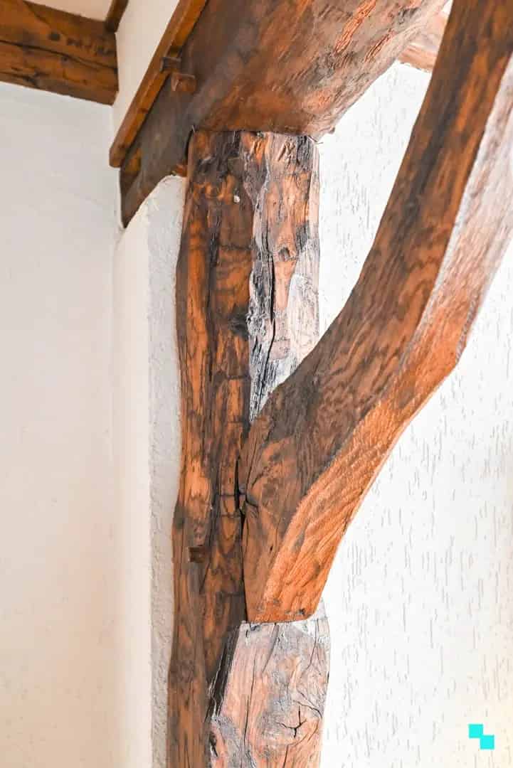 Huis te huur
