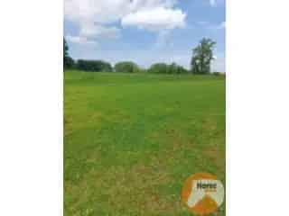Landbouwgrond te koop - Tongeren RBN23157