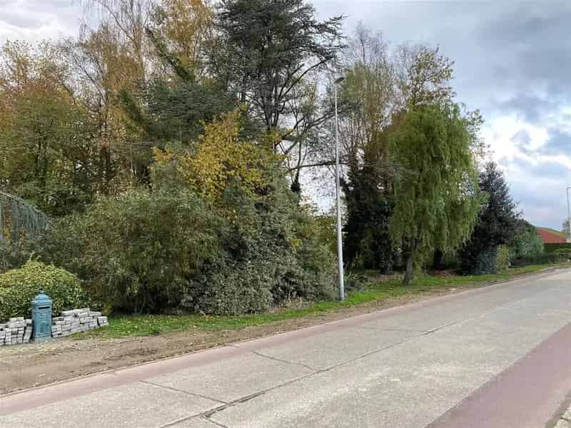 Bouwgrond