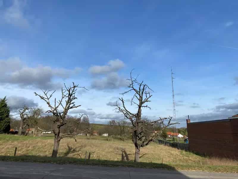 Bouwgrond te koop in Sint-Truiden – Groep N