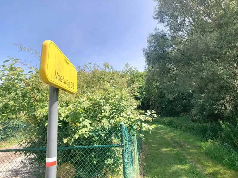 Bosgrond met beek nabij centrum Hever.