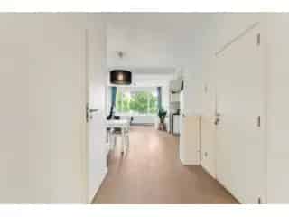 Appartement te koop - Antwerpen RBT45316