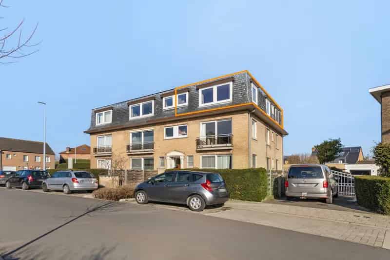 Lichtrijk 2-slaapkamerappartement te huur in Sint-Kruis