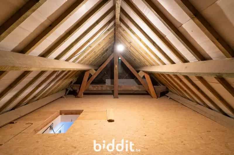 WONINGEN MET KANTOORRUIMTE EN HANDELSGEDEELTE