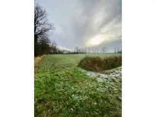 Industrie te koop - Antwerpen RBG77953