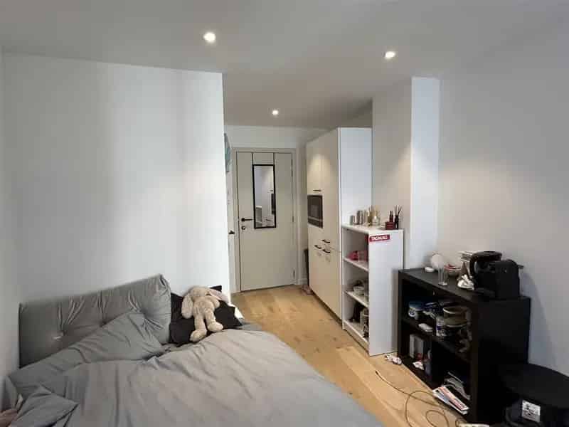 Luxueuze Studentenkamer Leuven Centrum Nabij Vismarkt