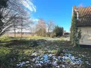 Bouwgrond te koop - Kruisem RBS86484