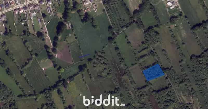 Perceel bos