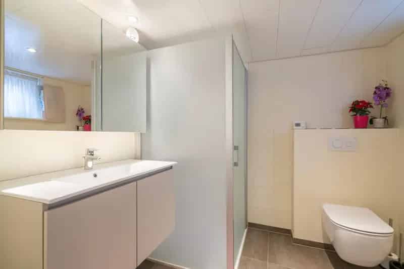 Ruime woning met potentieel in het centrum van Deerlijk