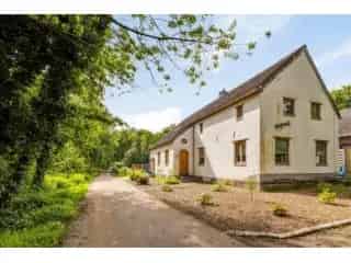 Huis te koop Westerlo 5 slaapkamers grote tuin