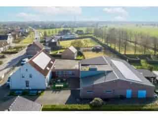 Industrie te koop - Drongen RBS87891