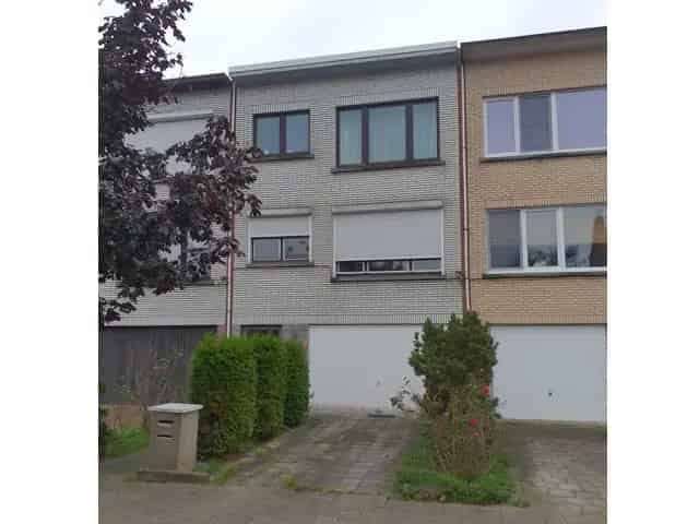 Flamingostraat 39
