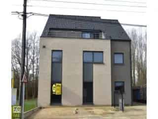 Gelijkvloers te huur - Bilzen RBS72959