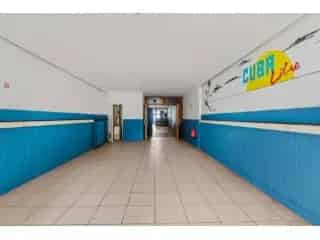 Handelspand te koop - Mechelen RBT27518