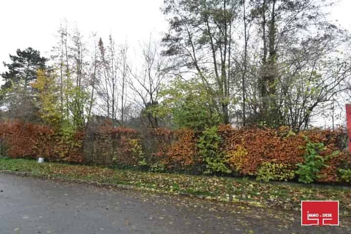 Project Denderleeuw - Huis te koop