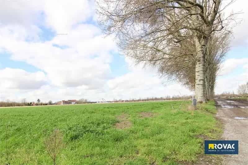 Handelspand te koop Kortrijk