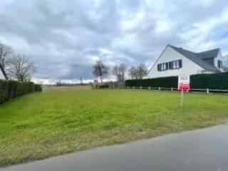 Bouwgrond te koop - Lauwe RBS82860   In optie