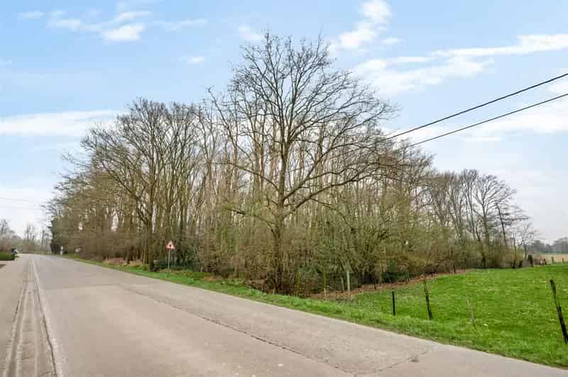 Perceel met bomen te Sint-Katelijne-Waver