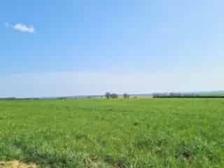 Bouwgrond te koop - Daverdisse VWD12743