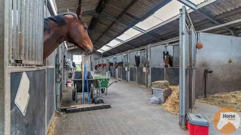 Huis te huur