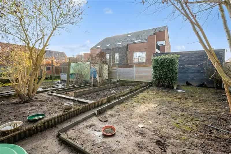 Handelspand te koop Geraardsbergen