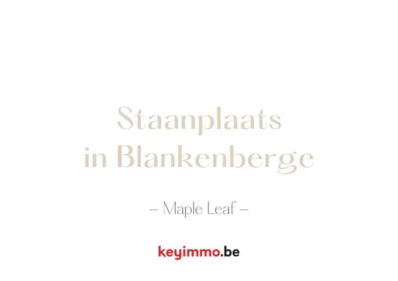 Garage te koop