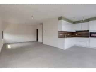 Duplex te koop - Galmaarden RBT71333