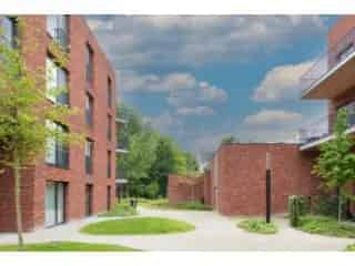 Project: Gandhon - Gent - Gent 25923-7009917