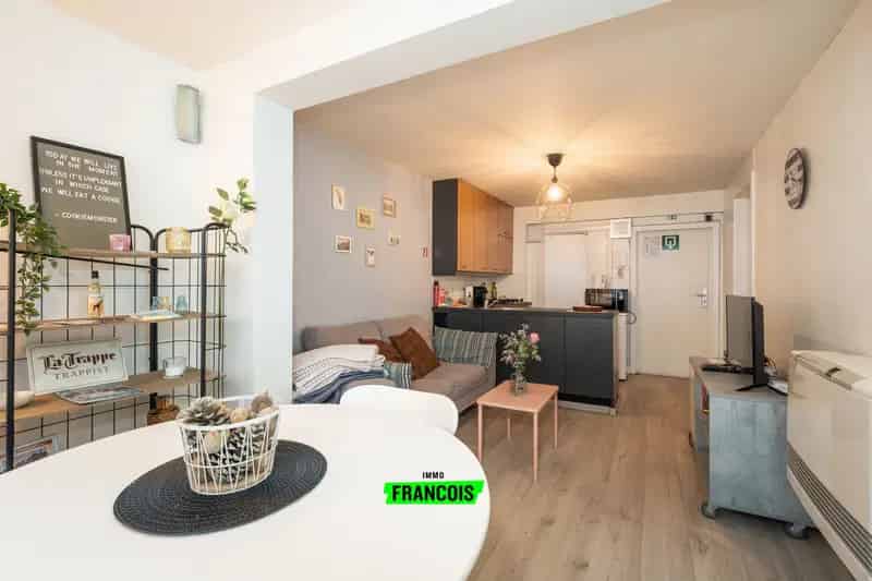 Hip Sous-Sol Appartement op Boogscheut van Oostende Beach