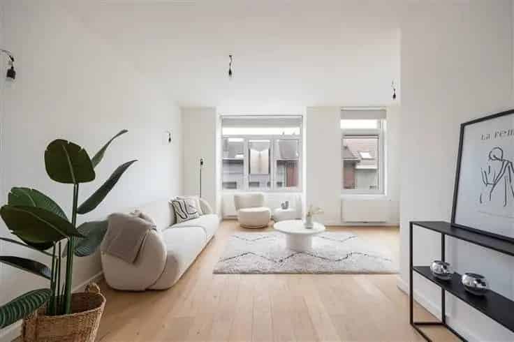 Appartement Te Koop Antwerpen - Lichtrijk en Gerenoveerd