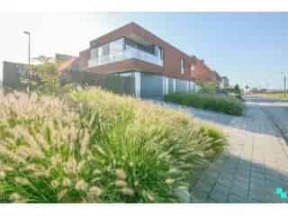 Appartement te huur - Izegem RBT11336