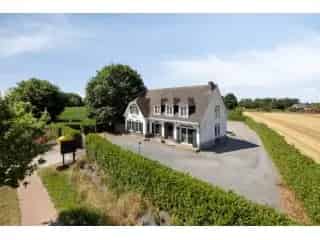 Handelspand te koop - Geel RBT96963