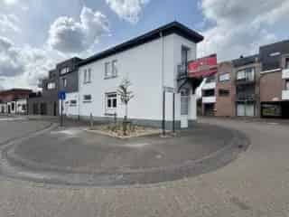 Handelspand te koop - Beringen RBT76433