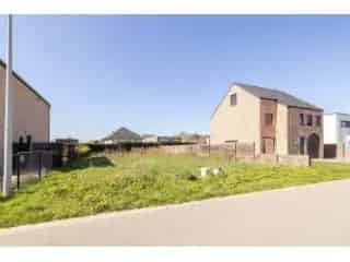 Grond te koop - Oevel RBT14843