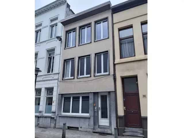 Dambruggestraat 103