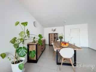 Appartement te koop - Deurne RBT19815